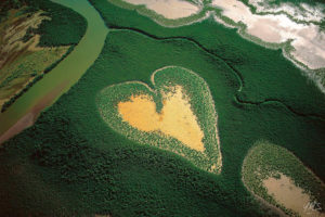 Yann Arthus-Bertrand