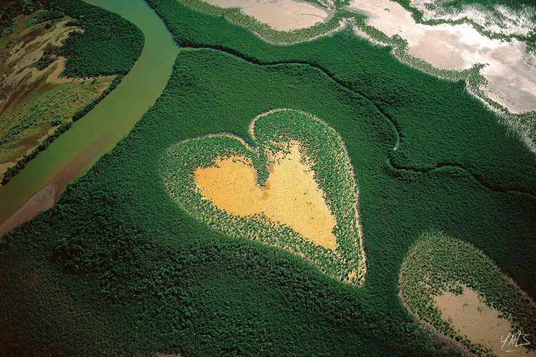 Yann Arthus-Bertrand