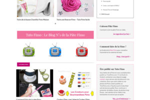 Blog professionnel pate Fimo