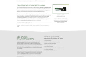 Blog professionnel herpes labial