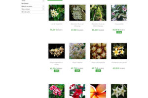 Site e-commerce plantes