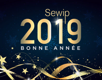SEWIP Freelance PrestaShop vous souhaite une bonne année 2019